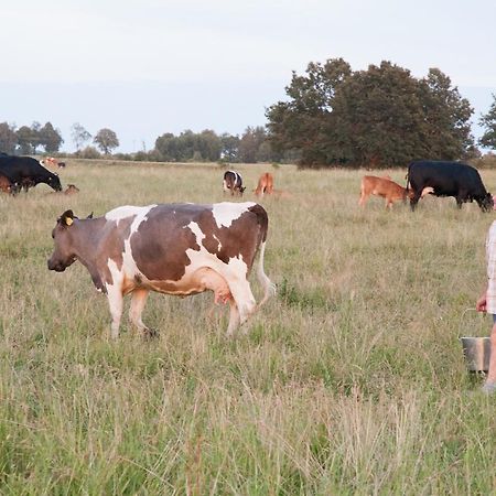 Agroturystyka Lolkowo Srokowo ภายนอก รูปภาพ