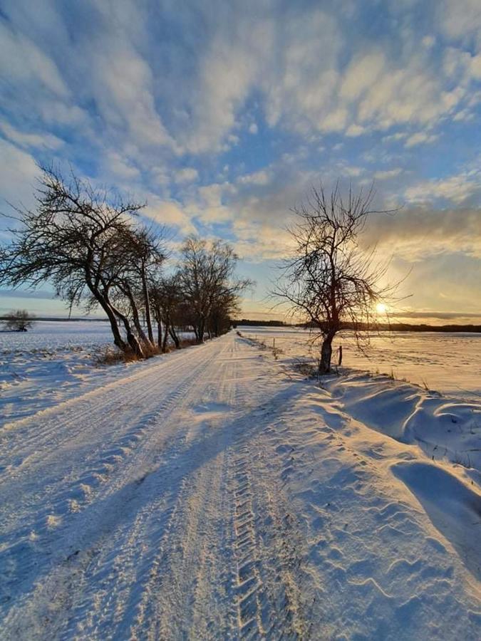 Agroturystyka Lolkowo Srokowo ภายนอก รูปภาพ
