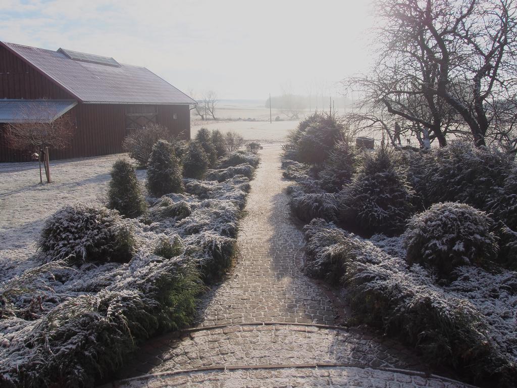 Agroturystyka Lolkowo Srokowo ภายนอก รูปภาพ