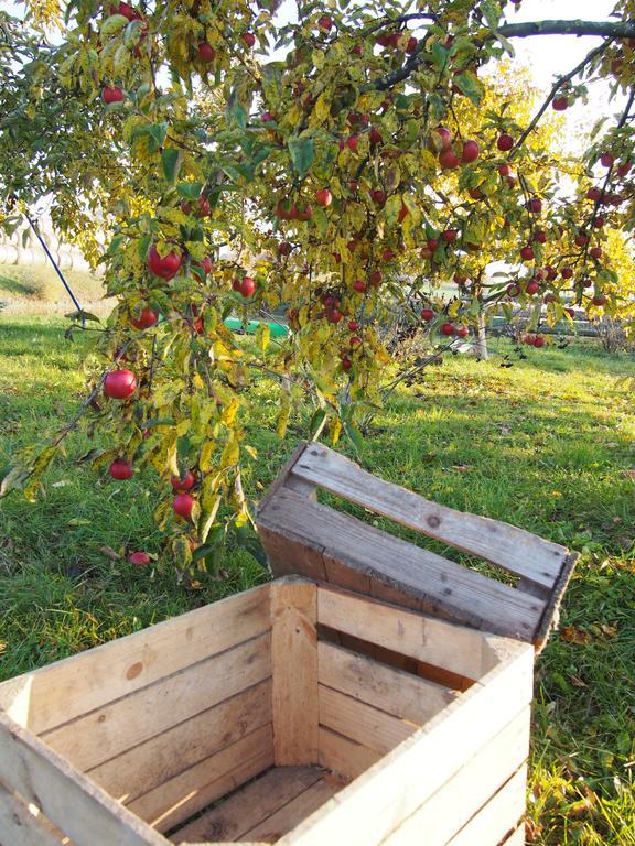 Agroturystyka Lolkowo Srokowo ภายนอก รูปภาพ
