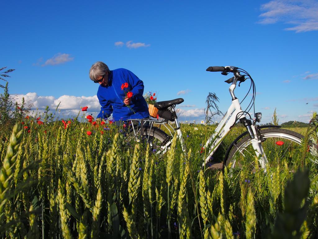 Agroturystyka Lolkowo Srokowo ภายนอก รูปภาพ