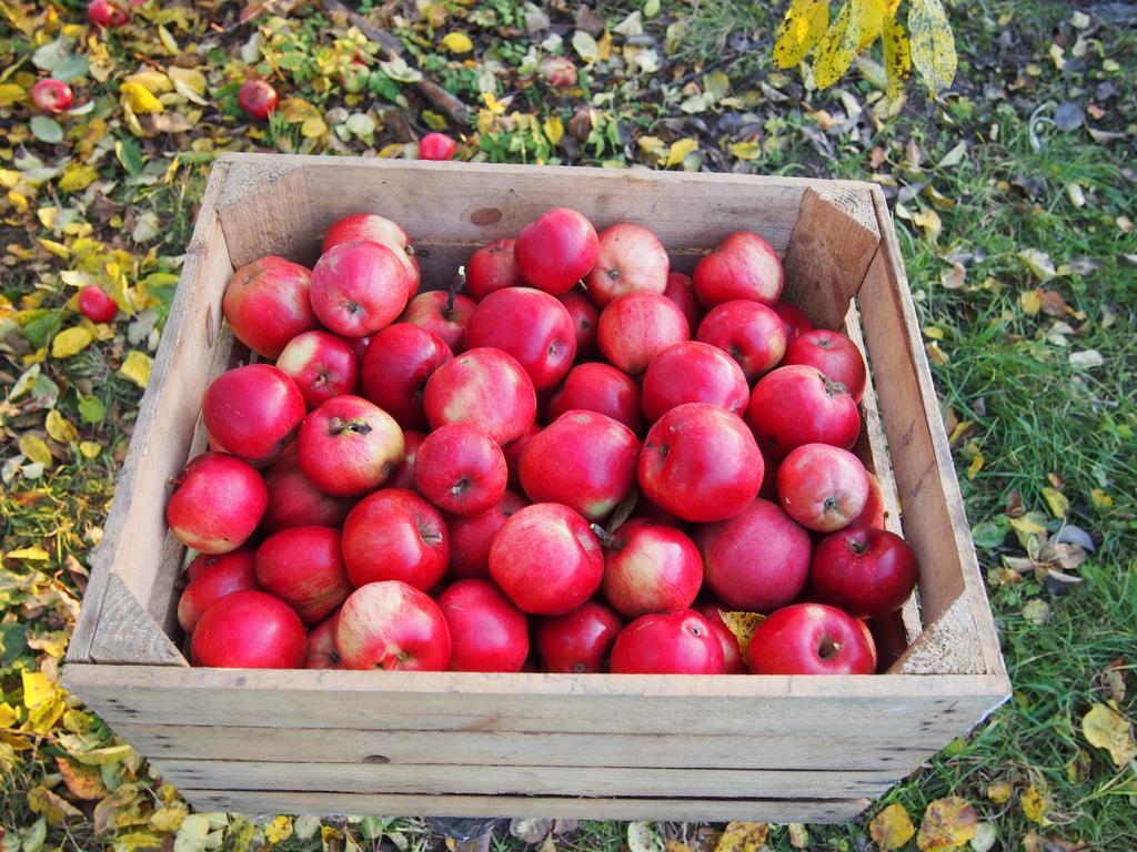 Agroturystyka Lolkowo Srokowo ภายนอก รูปภาพ
