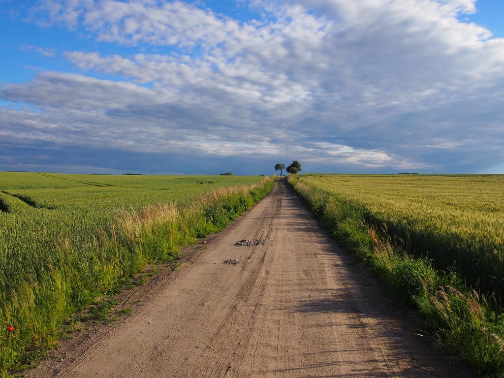 Agroturystyka Lolkowo Srokowo ภายนอก รูปภาพ